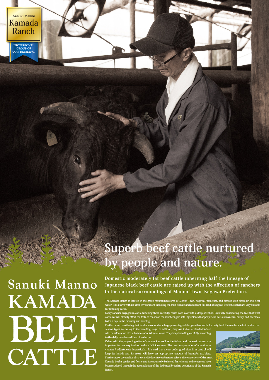 Superb beef cattle nurtured by people and nature. KAMADA RANCH